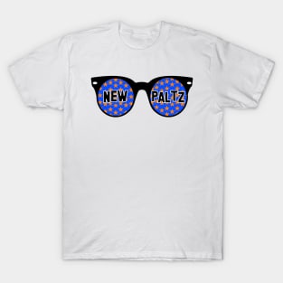 New Paltz Sunglasses T-Shirt